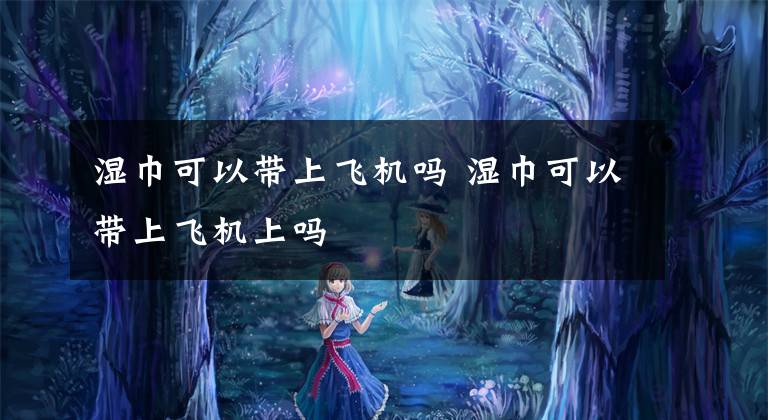 湿巾可以带上飞机吗 湿巾可以带上飞机上吗文章配图