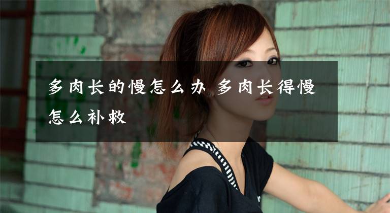 多肉长的慢怎么办 多肉长得慢怎么补救文章配图