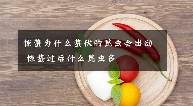 惊蛰为什么蛰伏的昆虫会出动 惊蛰过后什么昆虫多