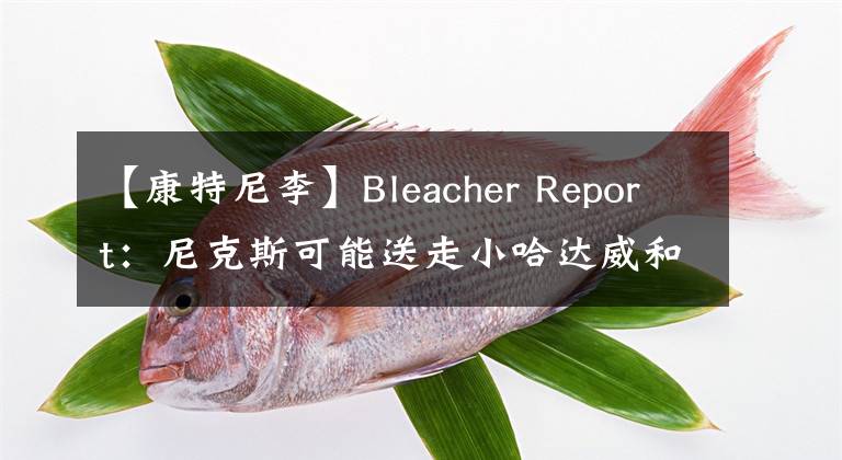 【康特尼李】Bleacher Report：尼克斯可能送走小哈达威和康特尼-李