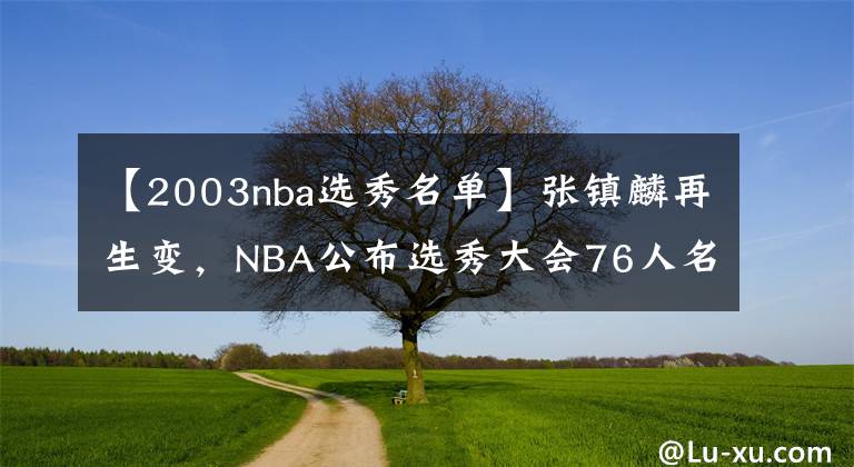 【2003nba选秀名单】张镇麟再生变，NBA公布选秀大会76人名单，杨鸣王朝头狼或留队