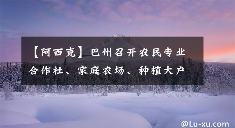 【阿西克】巴州召开农民专业合作社、家庭农场、种植大户交流座谈会