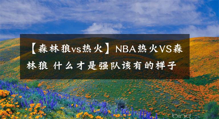 【森林狼vs热火】NBA热火VS森林狼 什么才是强队该有的样子？