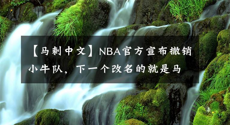 【马刺中文】NBA官方宣布撤销小牛队，下一个改名的就是马刺队！?