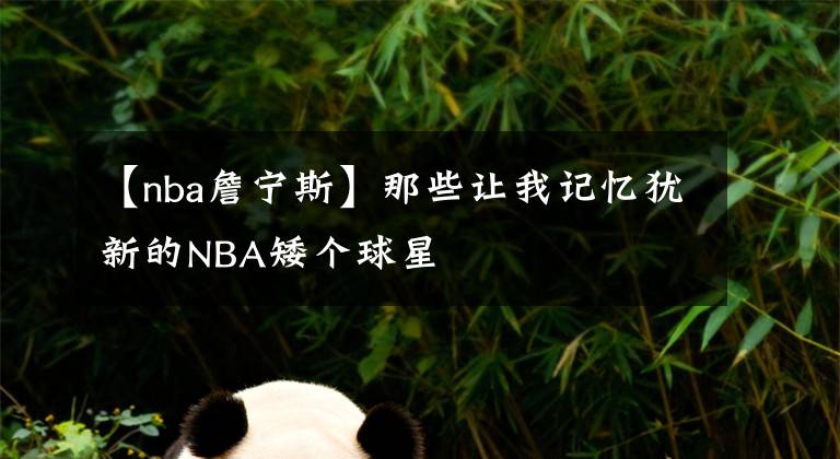 【nba詹宁斯】那些让我记忆犹新的NBA矮个球星