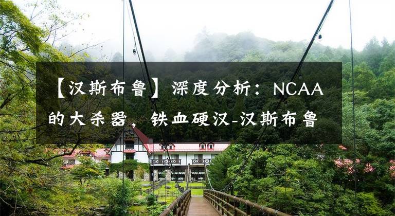 【汉斯布鲁】深度分析：NCAA的大杀器，铁血硬汉-汉斯布鲁有怎样的职业生涯