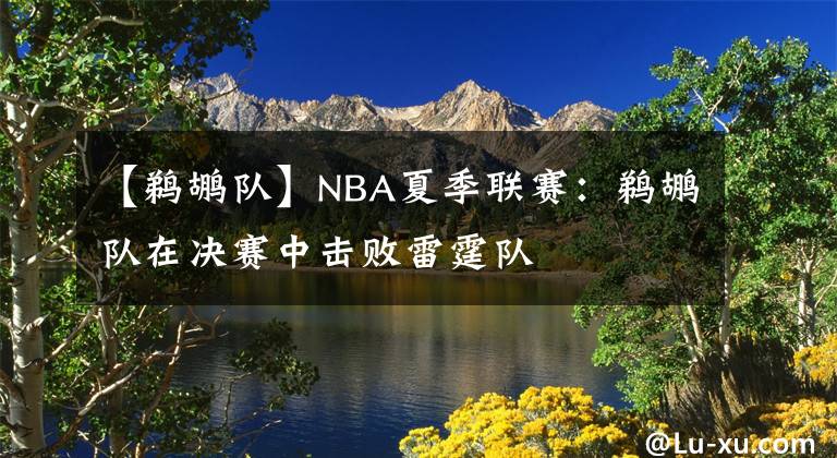 【鹈鹕队】NBA夏季联赛：鹈鹕队在决赛中击败雷霆队