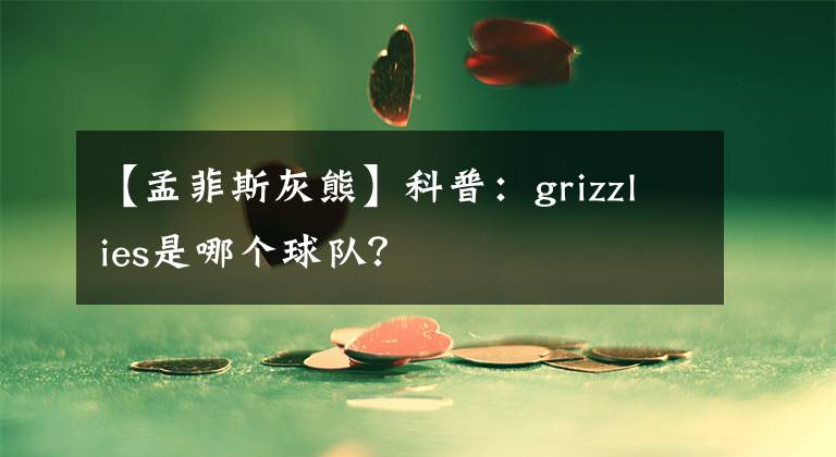 【孟菲斯灰熊】科普：grizzlies是哪个球队？