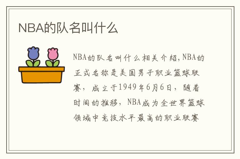 NBA的队名叫什么