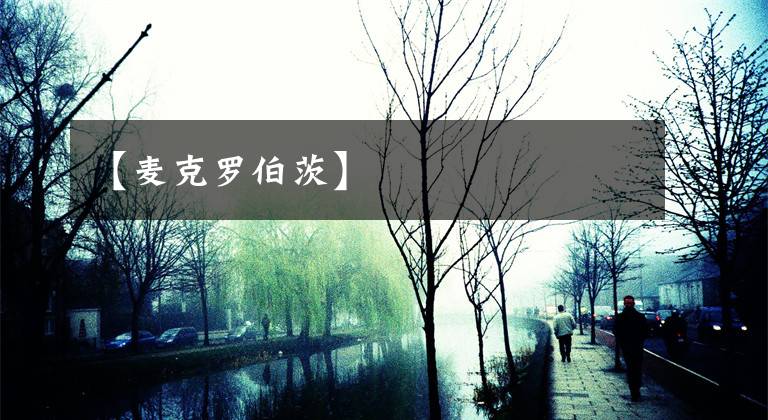 【麦克罗伯茨】文章配图