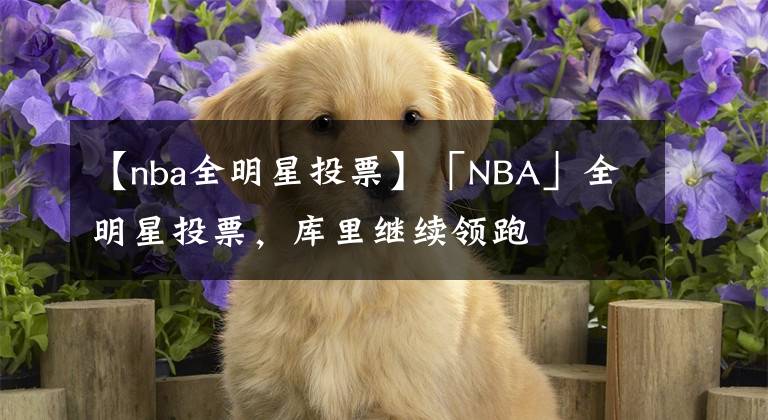 【nba全明星投票】「NBA」全明星投票，库里继续领跑