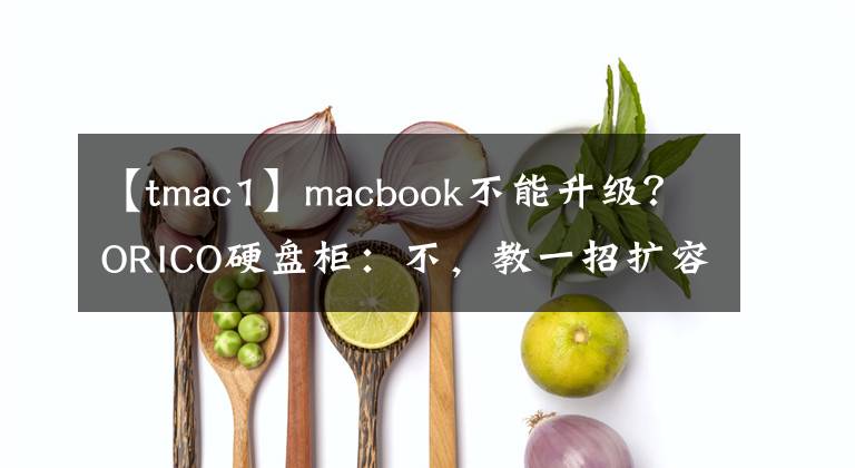 【tmac1】macbook不能升级？ORICO硬盘柜：不，教一招扩容大法