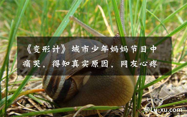 《变形计》城市少年妈妈节目中痛哭，得知真实原因，网友心疼泪目文章配图