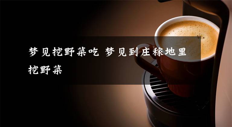 梦见挖野菜吃 梦见到庄稼地里挖野菜文章配图