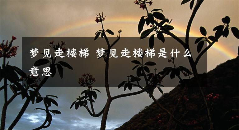 梦见走楼梯 梦见走楼梯是什么意思文章配图