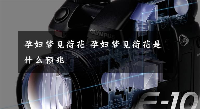 孕妇梦见荷花 孕妇梦见荷花是什么预兆文章配图
