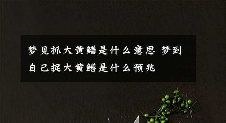 梦见抓大黄鳝是什么意思 梦到自己捉大黄鳝是什么预兆