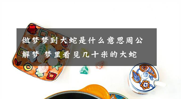 做梦梦到大蛇是什么意思周公解梦 梦里看见几十米的大蛇