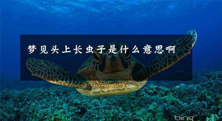 梦见头上长虫子是什么意思啊文章配图