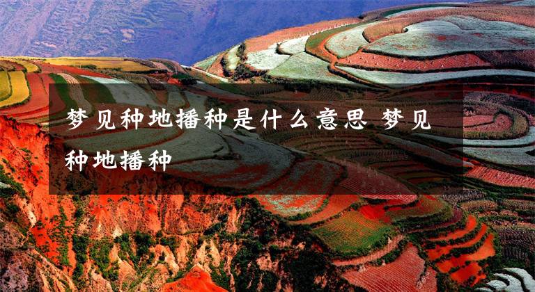 梦见种地播种是什么意思 梦见种地播种文章配图