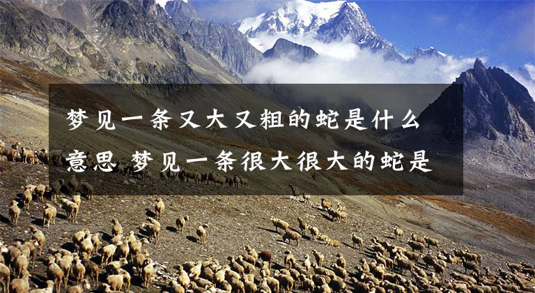 梦见一条又大又粗的蛇是什么意思 梦见一条很大很大的蛇是什么意思文章配图