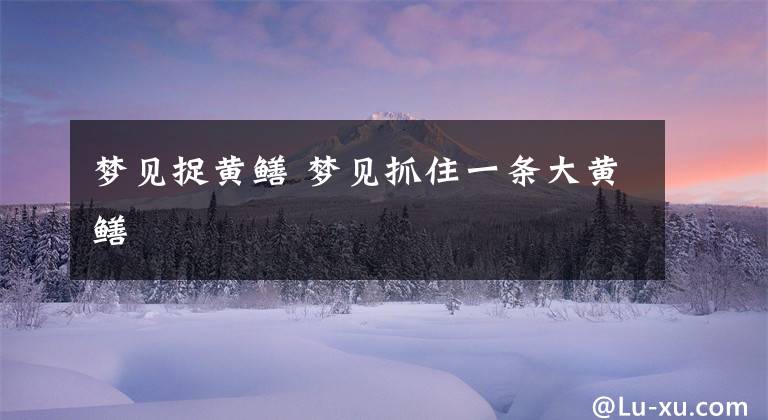 梦见捉黄鳝 梦见抓住一条大黄鳝文章配图