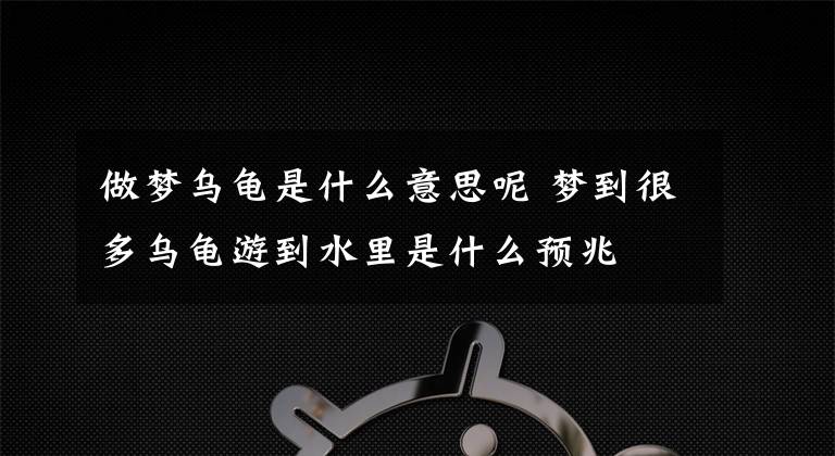 做梦乌龟是什么意思呢 梦到很多乌龟游到水里是什么预兆