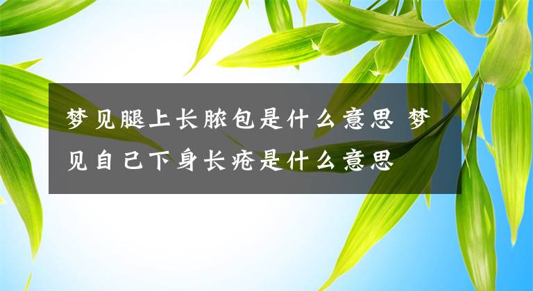 梦见腿上长脓包是什么意思 梦见自己下身长疮是什么意思文章配图