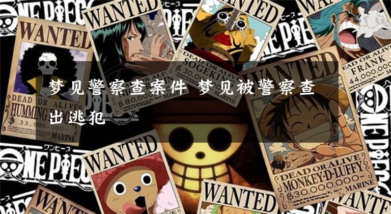 梦见警察查案件 梦见被警察查出逃犯文章配图