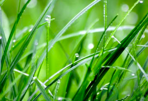 二十四节气之雨水  有这些风俗