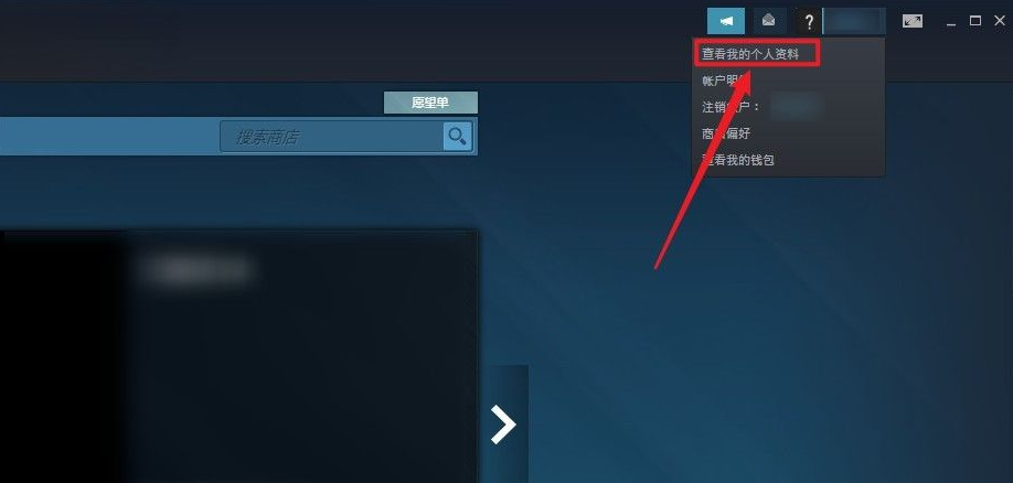 steam隐私设置在哪 steam隐私设置在哪儿