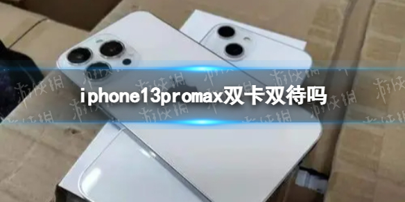 iphone13promax是双卡双待吗 iphone新手攻略技巧