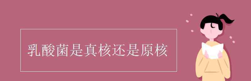 乳酸菌是真核还是原核 乳酸菌是真核还是原核