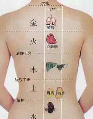 四肢百骸 人体的五脏六腑、四肢百骸、五官九窍、皮肉筋骨等组织器官，之所以能保持相对的协调与统一，