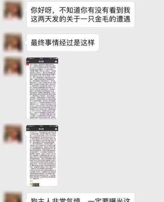 宠物用品店给狗狗安乐死收了钱竟那样看待小狗.