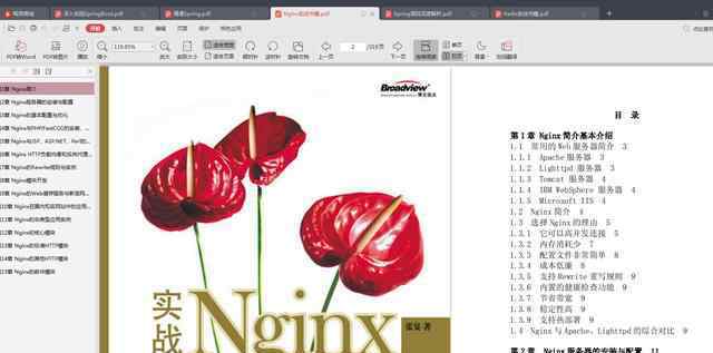 sping 阿里架构师分享技术干货Spring+Redis+SpringBoot+Nginx等实践