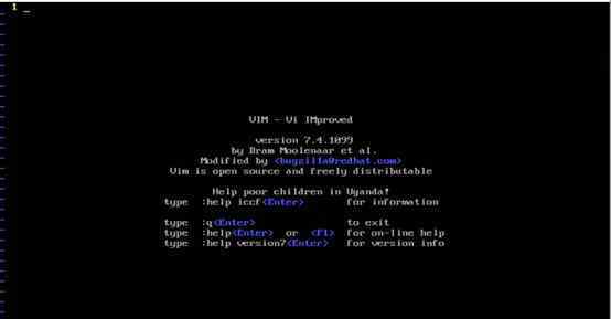 Vi编辑器 黑客御用编辑器Vim，丢掉鼠标，你根本学不会