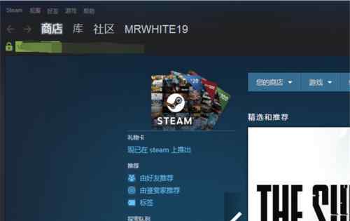 steam个人资料 steam个人资料打不开【应对模式】