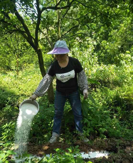 罗胜 【决战脱贫奋斗有她】罗胜秀：20多年专注柚种植 农家女成了种植专家