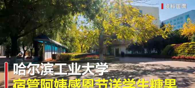 宿管阿姨感恩节送糖果遭学生举报“过洋节” 哈工大凌晨回应