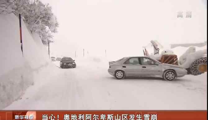 雪崩 终于真相了?海阿尔卑斯山区雪崩是怎么回事?还原事件详情始末真相震惊了