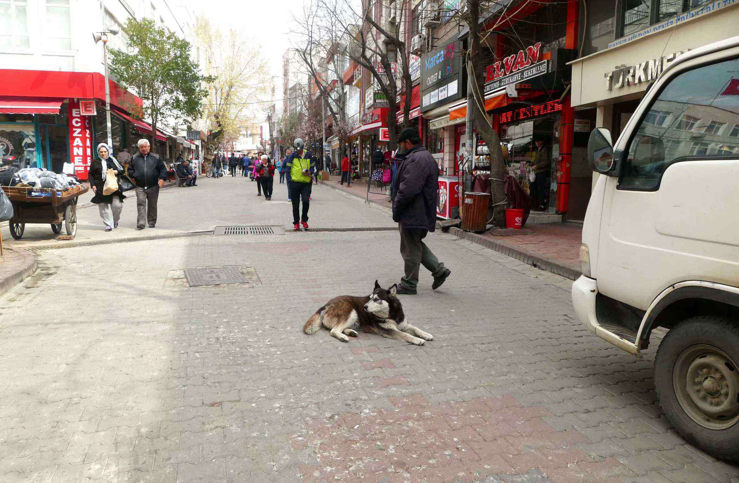 土尔其 土尔其十二天游