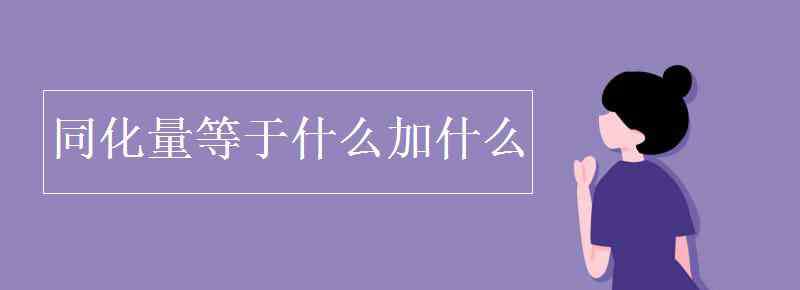 同化量等于什么 同化量等于什么加什么