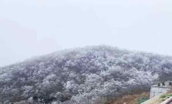 浙江下雪 2019-2020浙江下雪了吗 浙江哪里看雪比较好