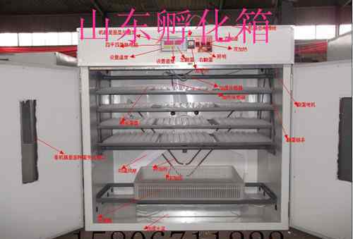 全自动孵化机多少钱 惠水县鸡鸭鹅全自动孵化机价格