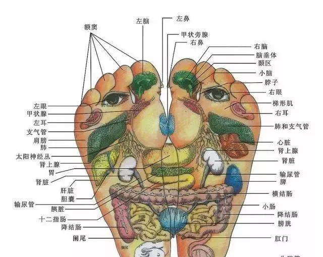 脚部穴位详细图解！