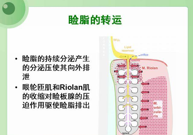 中国篮协