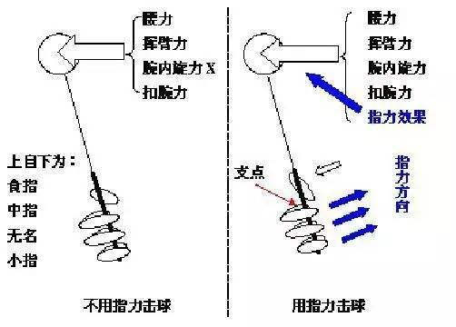 打羽毛球时，你会手指发力吗？（附手指发力技巧）