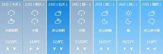 冷冷的冰雨在脸上胡乱的拍……然后……