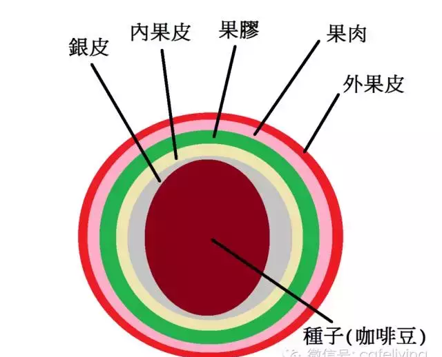 剧情集